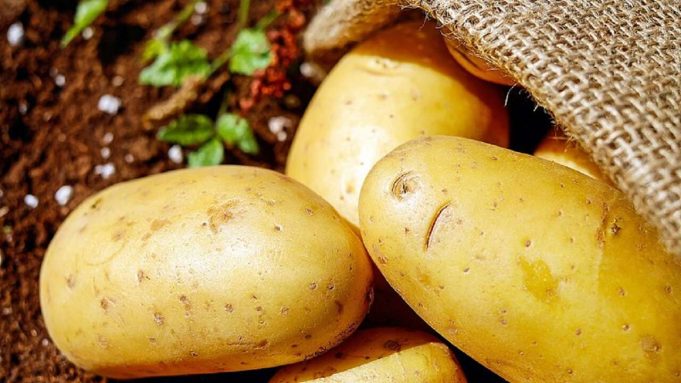 Come conservare le patate, per farle durare a lungo
